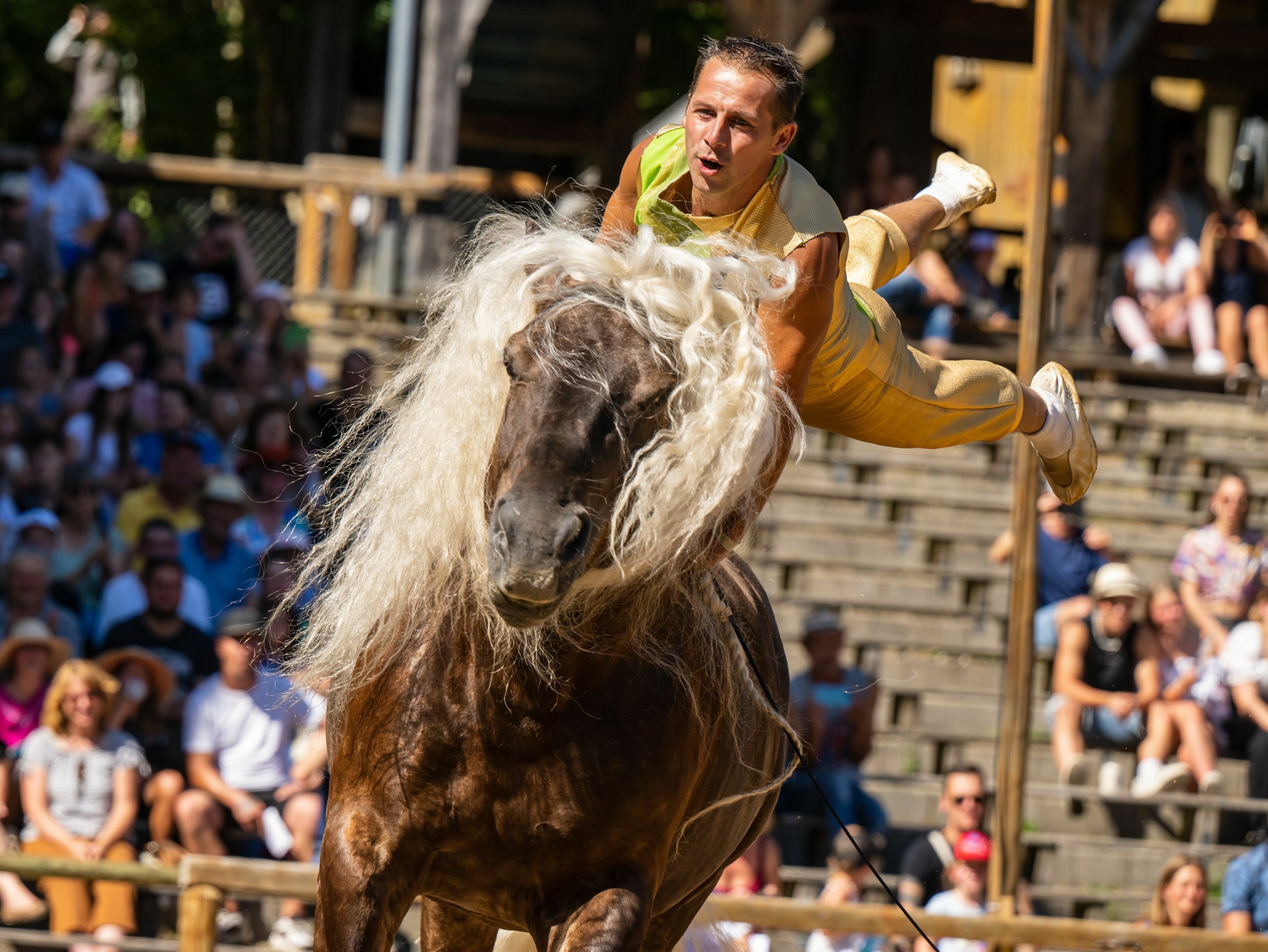 MONDWINDWEB022 Kopie