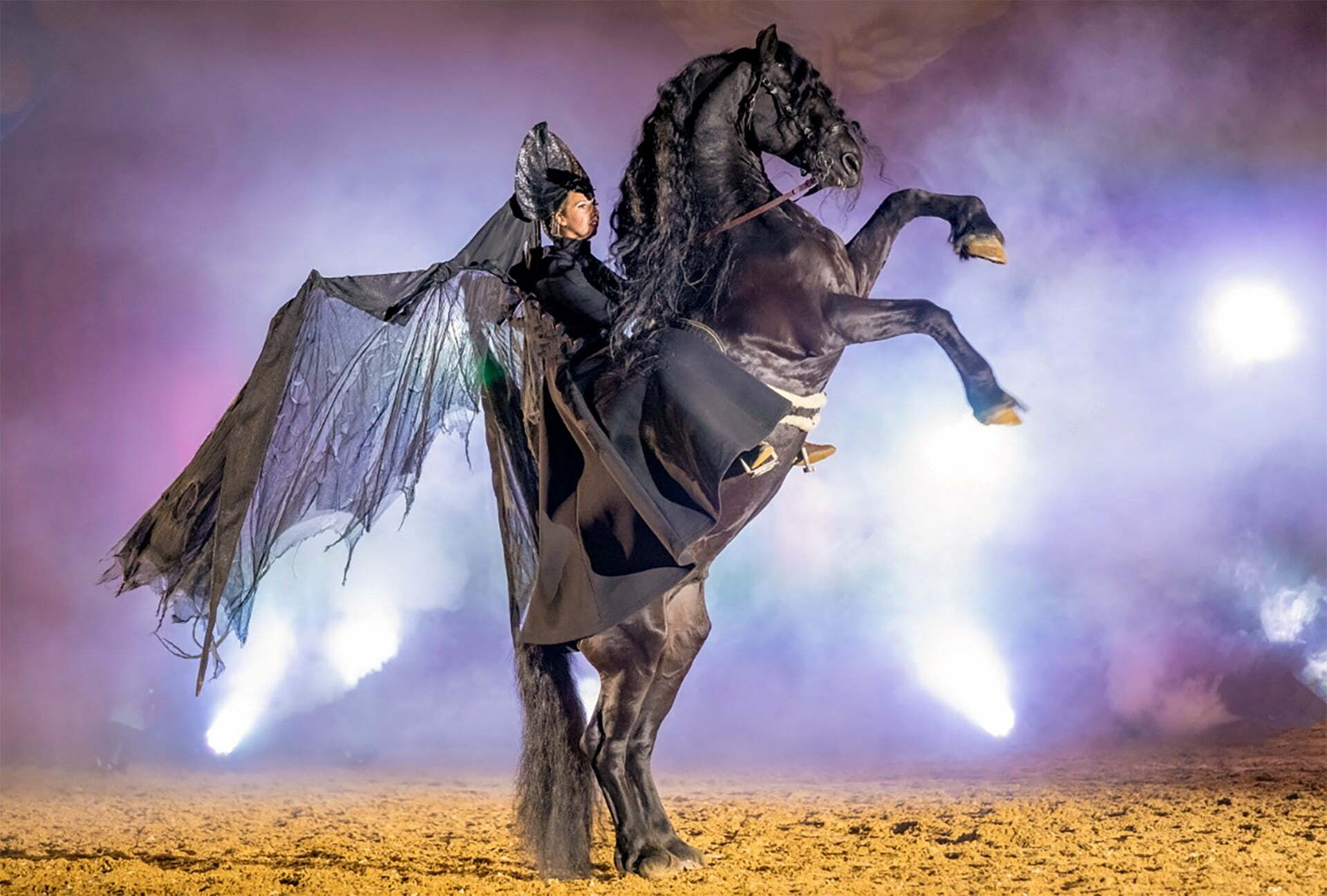 _mondwind-schwarzer-hengst_1920px