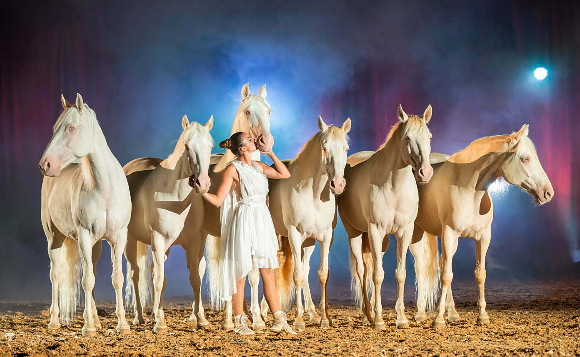 mondwind-zaubermantel-iseulys-desle-freiheitsdressur