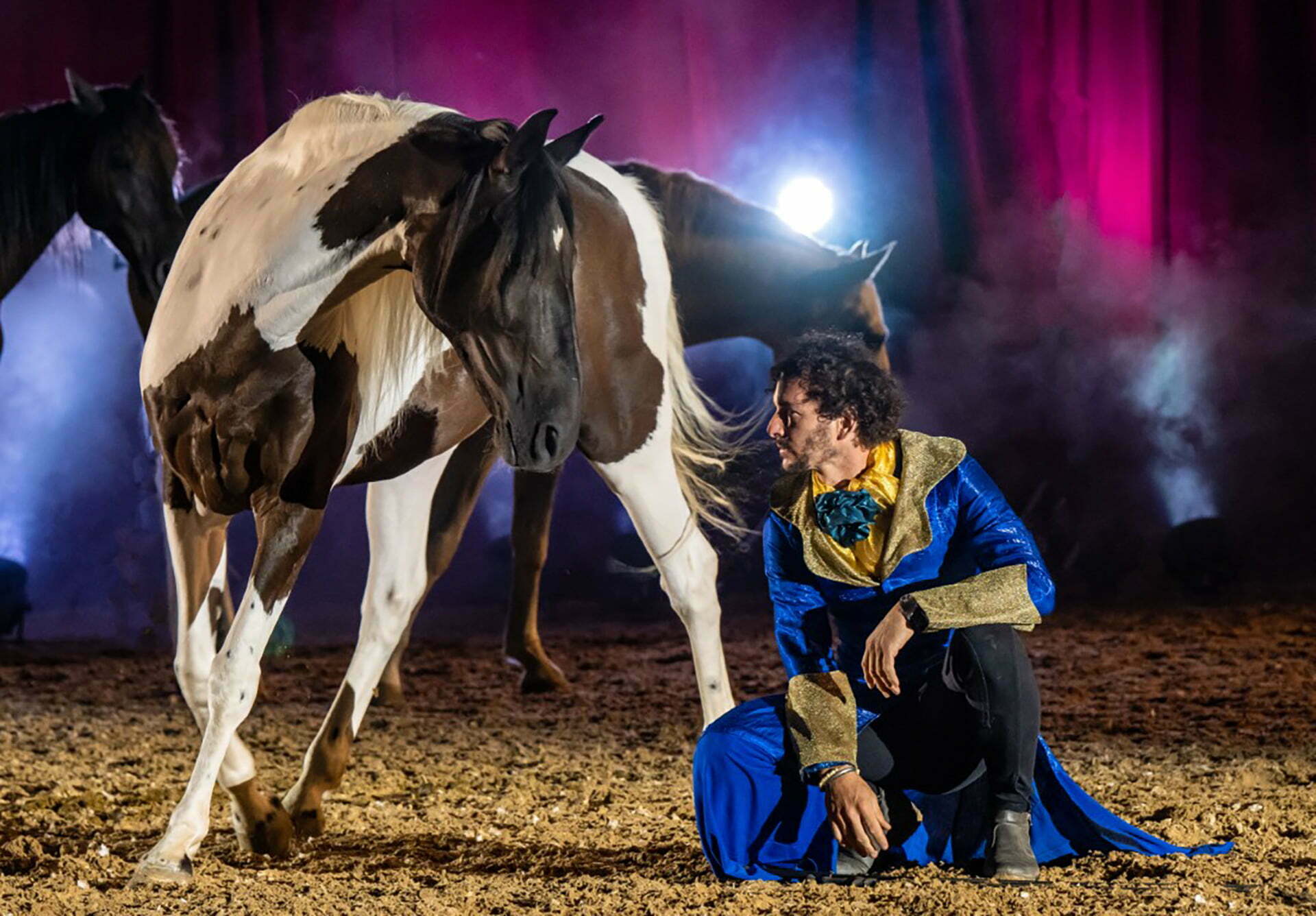 mondwind-zaubermantel-paco-martos-ungarische-post-freiheitsdressur